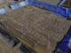 FileNo.108-054.jpg