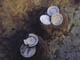 FileNo.108-077.jpg