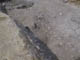 FileNo.108-086.jpg