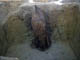 FileNo.108-117.jpg