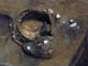 FileNo.108-139.jpg