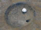 FileNo.108-147.jpg