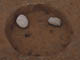 FileNo.108-149.jpg