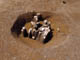 FileNo.108-163.jpg