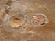 FileNo.108-168.jpg