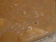FileNo.108-169.jpg