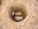 FileNo.108-174.jpg