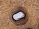 FileNo.108-175.jpg