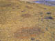 FileNo.108-202.jpg