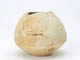 FileNo.108-216.jpg