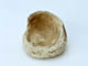 FileNo.108-362.jpg