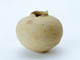 FileNo.108-385.jpg