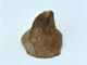FileNo.108-458.jpg
