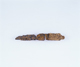 FileNo.108-508.jpg