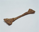 FileNo.108-528.jpg