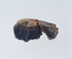 FileNo.108-558.jpg