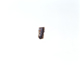 FileNo.108-559.jpg