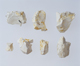 FileNo.108-562.jpg