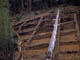FileNo.109-016.jpg