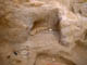 FileNo.109-017.jpg