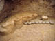 FileNo.109-019.jpg