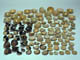 FileNo.109-026.jpg