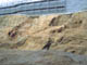 FileNo.109-031.jpg