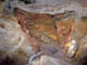FileNo.109-033.jpg