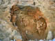 FileNo.109-034.jpg