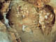 FileNo.109-035.jpg