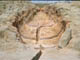 FileNo.109-039.jpg