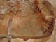FileNo.109-044.jpg