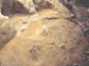 FileNo.109-045.jpg