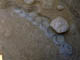 FileNo.109-051.jpg