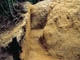 FileNo.109-053.jpg