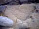 FileNo.109-056.jpg