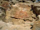 FileNo.109-058.jpg