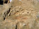 FileNo.109-059.jpg