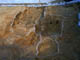 FileNo.109-061.jpg