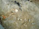 FileNo.109-063.jpg