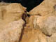 FileNo.109-064.jpg