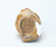 FileNo.109-1005.jpg