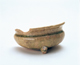 FileNo.109-1065.jpg