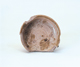 FileNo.109-1103.jpg