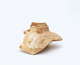 FileNo.109-1280.jpg