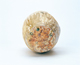 FileNo.109-1288.jpg