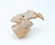 FileNo.109-1293.jpg