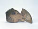FileNo.109-135.jpg