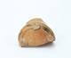 FileNo.109-1362.jpg