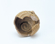 FileNo.109-1363.jpg